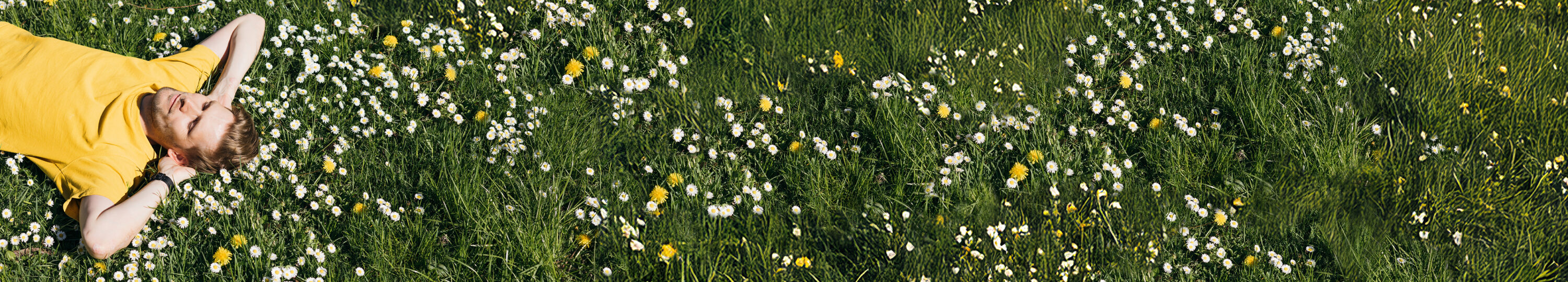 Young,Man,Laying,In,Green,Grass,With,Flowers.,People,Fatigue